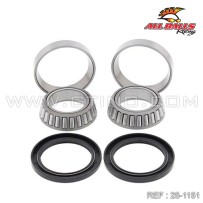 Kit roulements ALL BALLS