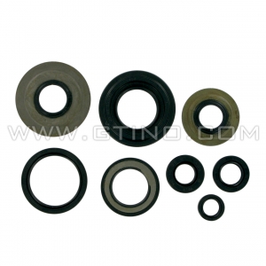 Kit joint O'ring moteur - RAPTOR 350 / WARRIOR 350