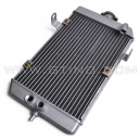 Radiateur standard - RAPTOR 660