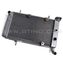 Radiateur REPLICA en aluminium pour quad SUZUKI LTZ 400 / KAWASAKI KFX 400 / ARCTIC CAT DVX 400 (Face arrière)