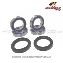 Kit roulements ALL BALLS / 25-1565
