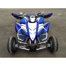 Kit déco GTINO - YFM Raptor 350