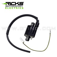 Bobine d'allumage / haute tension universelle - RICK'S MOTORSPORT ELECTRIC