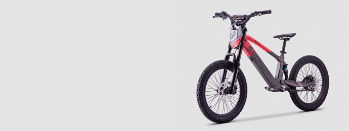 Draisienne SEDNA SX16 - SX18 - SX20