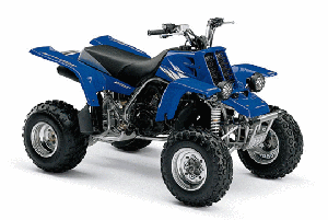 Yamaha YFZ BANHSEE 350